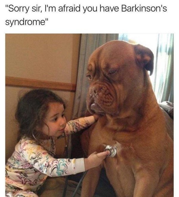feel good friday wholesome memes - barkinsons - "Sorry sir, I'm afraid you have Barkinson's syndrome"
