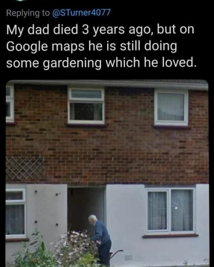 feel good friday wholesome memes - my dad died 3 years ago - My dad died 3 years ago, but on Google maps he is still doing some gardening which he loved.