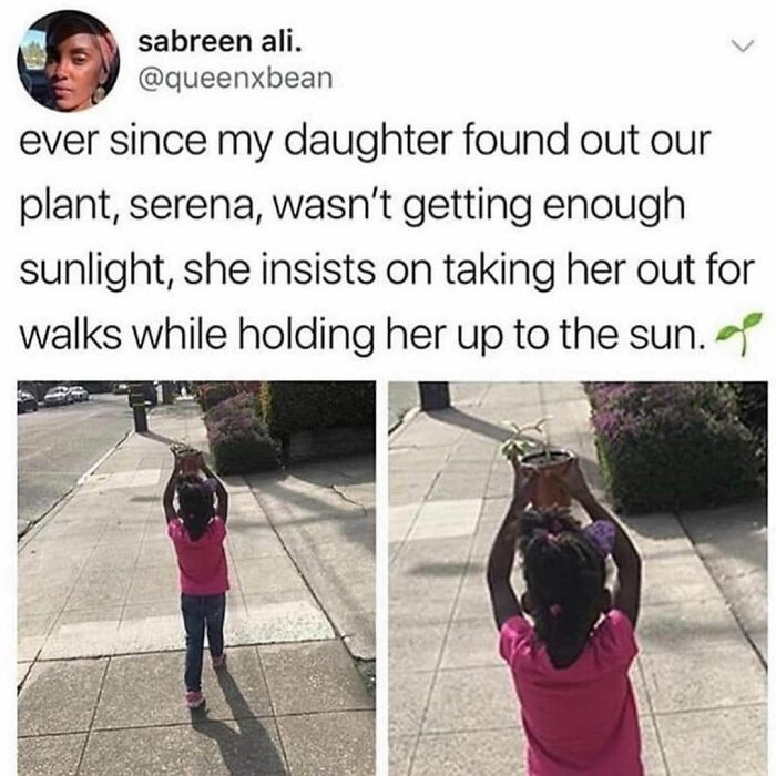 feel good friday wholesome memes - girl walking plant - sabreen ali. ever since my daughter found out our plant, serena, wasn't getting enough sunlight, she insists on taking her out for walks while holding her up to the sun.