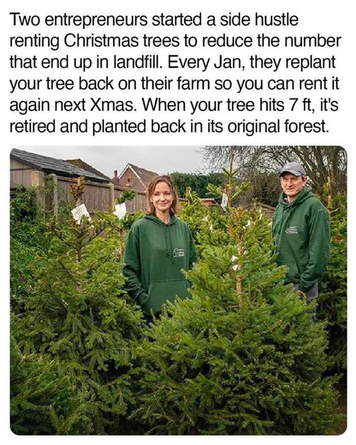 feel good friday wholesome memes - my life quotes - Two entrepreneurs started a side hustle renting Christmas trees to reduce the number that end up in landfill. Every Jan, they replant your tree back on their farm so you can rent it again next Xmas. When