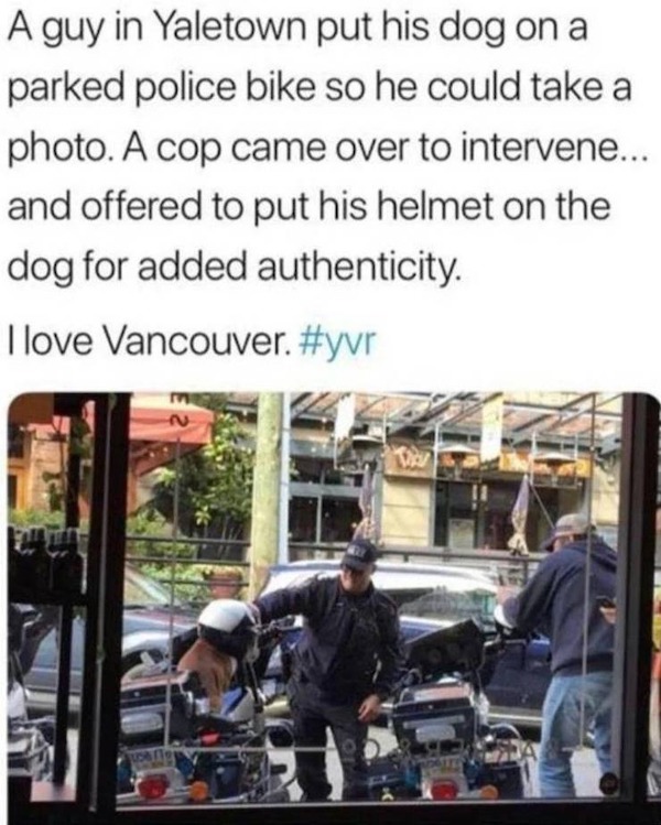 wholesome memes - restoring faith in humanity - A guy in Yaletown put his dog on a parked police bike so he could take a photo. A cop came over to intervene... and offered to put his helmet on the dog for added authenticity. I love Vancouver. Th