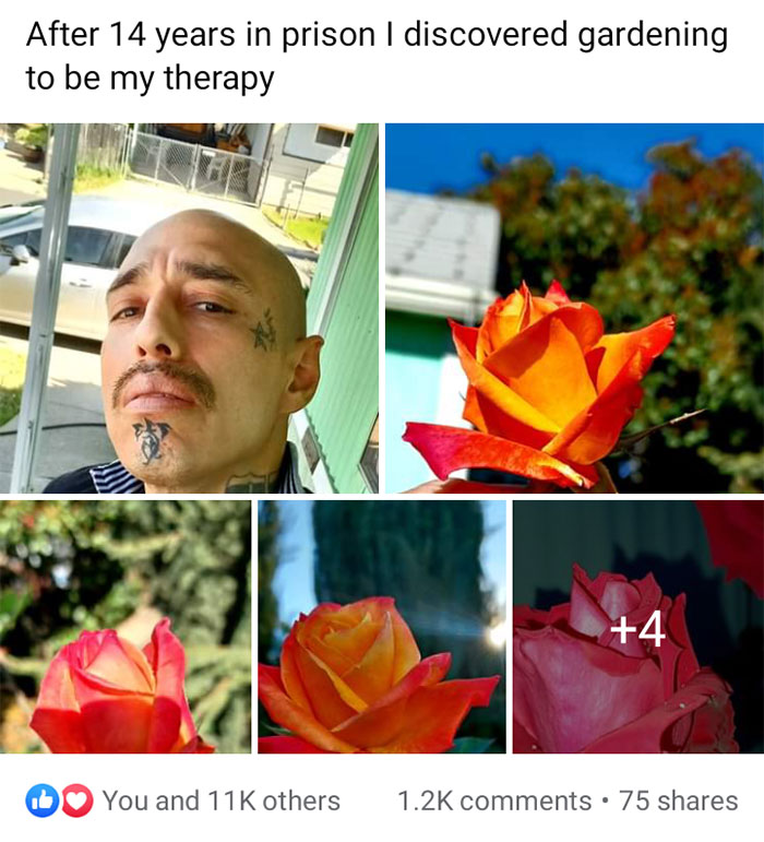 wholesome memes - rose - After 14 years in prison I discovered gardening to be my therapy You and 11K others 4 75