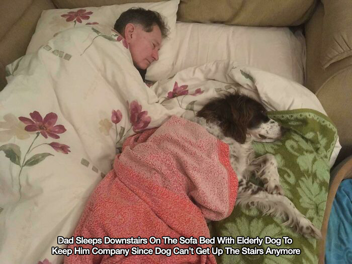 feel good friday wholesome memes and pics - dog and dad sleeping - Dad Sleeps Downstairs On The Sofa Bed With Elderly Dog To Keep Him Company Since Dog Can't Get Up The Stairs Anymore
