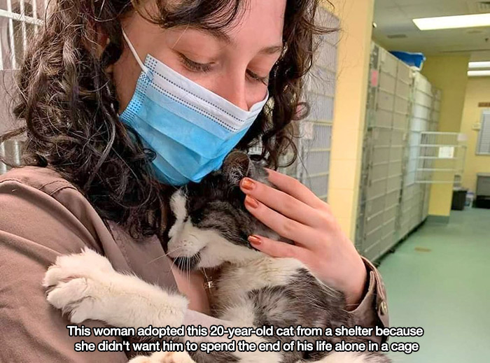 feel good friday wholesome memes and pics - 20 years old cat - This woman adopted this 20yearold cat from a shelter because she didn't want him to spend the end of his life alone in a cage