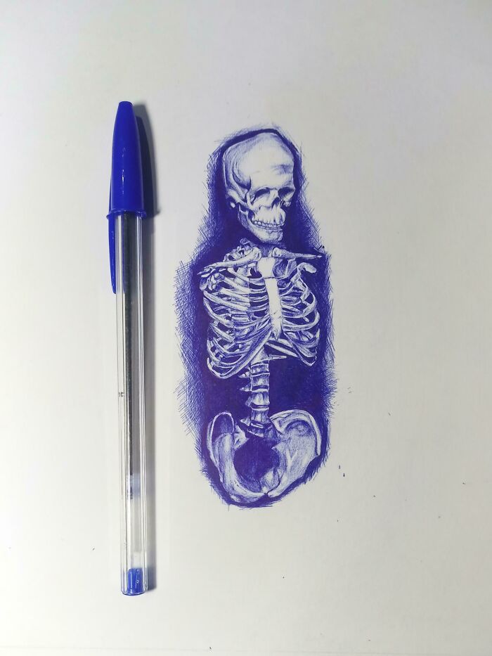 I drew a skeleton with a ballpoint pen. via <a href="https://www.reddit.com/r/somethingimade/comments/xirhdo/i_drew_a_skeleton_with_ballpen_feedback_of_any/" target="_blank">UnusualSandwich7802</a>