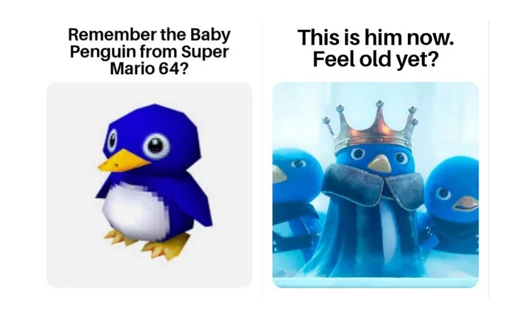 super mario bros memes - mario 64 penguin meme - Remember the Baby Penguin from Super Mario 64? This is him now. Feel old yet?
