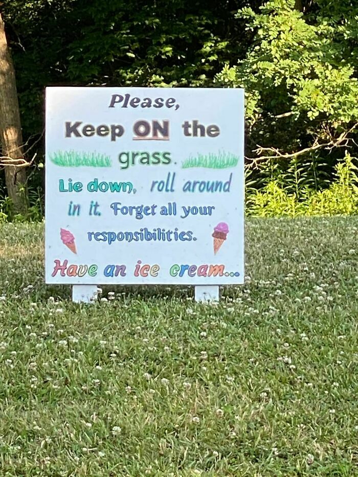 wholesome pics - grass - Please, Keep On the grass. w Lie down, roll around in it. Forget all your responsibilities. Have an ice cream...