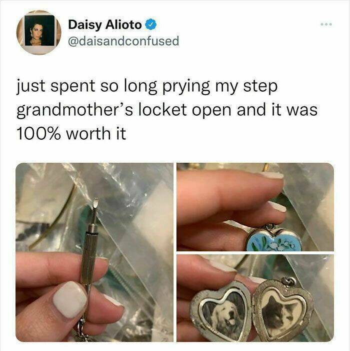 wholesome pics - Meme - Daisy Alioto just spent so long prying my step grandmother's locket open and it was 100% worth it