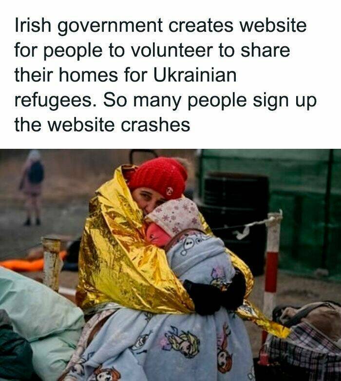 wholesome pics - Refugee - Irish government creates website for people to volunteer to their homes for Ukrainian refugees. So many people sign up the website crashes