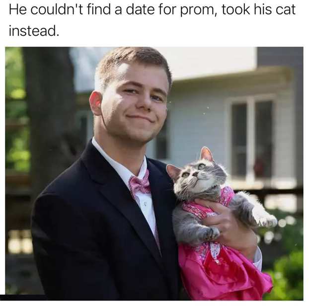 wholesome stories and feel good memes - photo caption - He couldn't find a date for prom, took his cat instead.