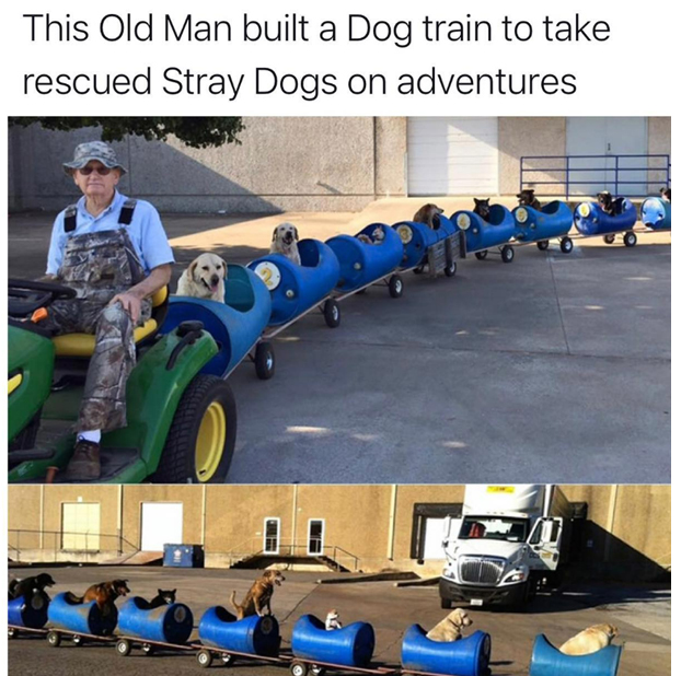 wholesome stories and feel good memes - vehicle - This Old Man built a Dog train to take rescued Stray Dogs on adventures