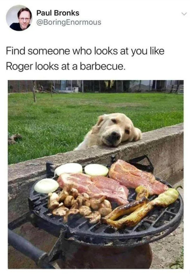 wholesome stories and feel good memes - dog looking at barbecue - Paul Bronks Find someone who looks at you Roger looks at a barbecue.