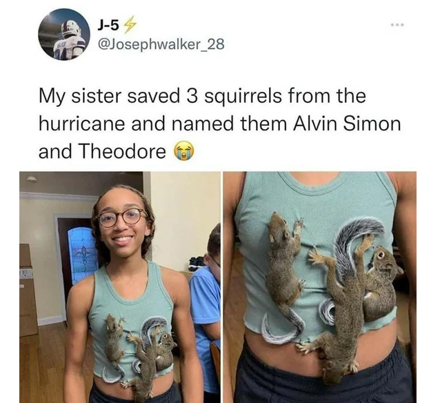 wholesome stories and feel good memes - shoulder - J54 My sister saved 3 squirrels from the hurricane and named them Alvin Simon and Theodore