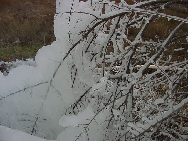 busted water main - 20 degrees