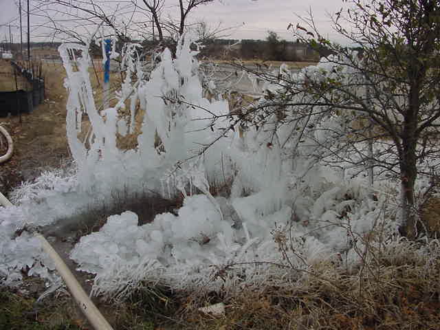 busted water main - 20 degrees