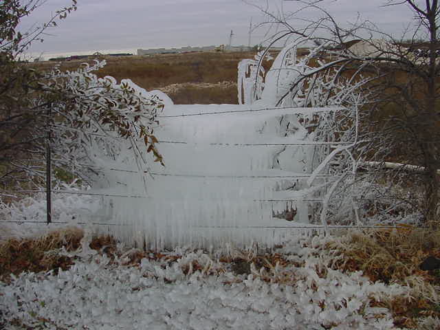 busted water main - 20 degrees