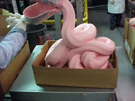 this what chicken nuggets are really made of. They take whole chickens, grind them up bones and all, then because the stuff is crawling with bacteria, they soak it in ammonia which makes it look pink and taste disgusting, they then have to add a ton of chemicals to make it white and taste normal...
who wants some chicken nuggets now.