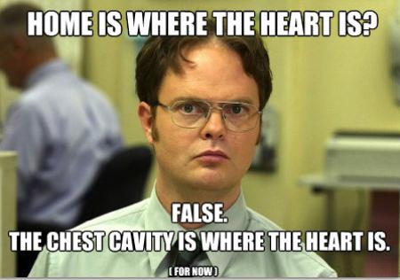 dwight schrute - Home Is Where The Heart Is? False, The Chest Cavity Is Where The Heart Is. For Now