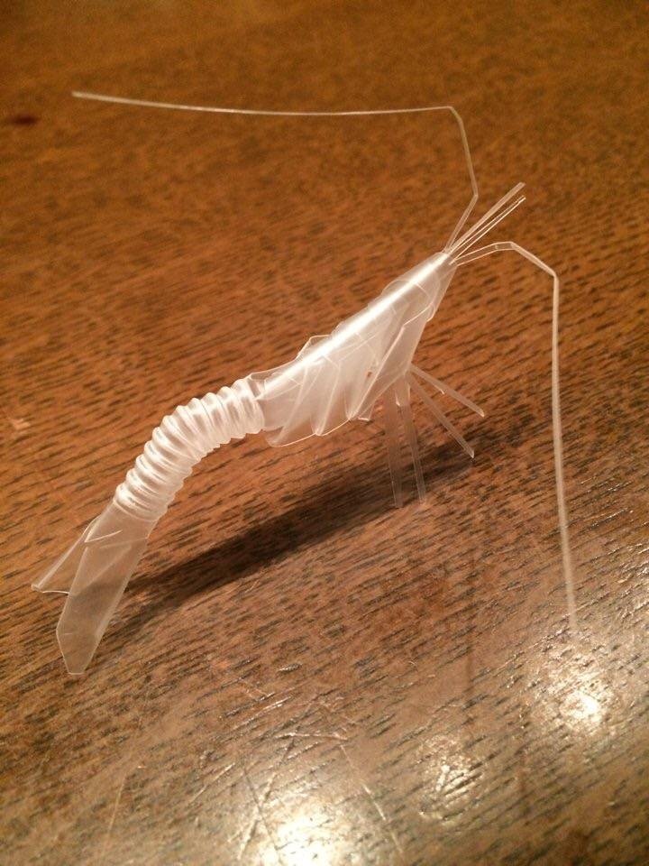 shrimp made from straw