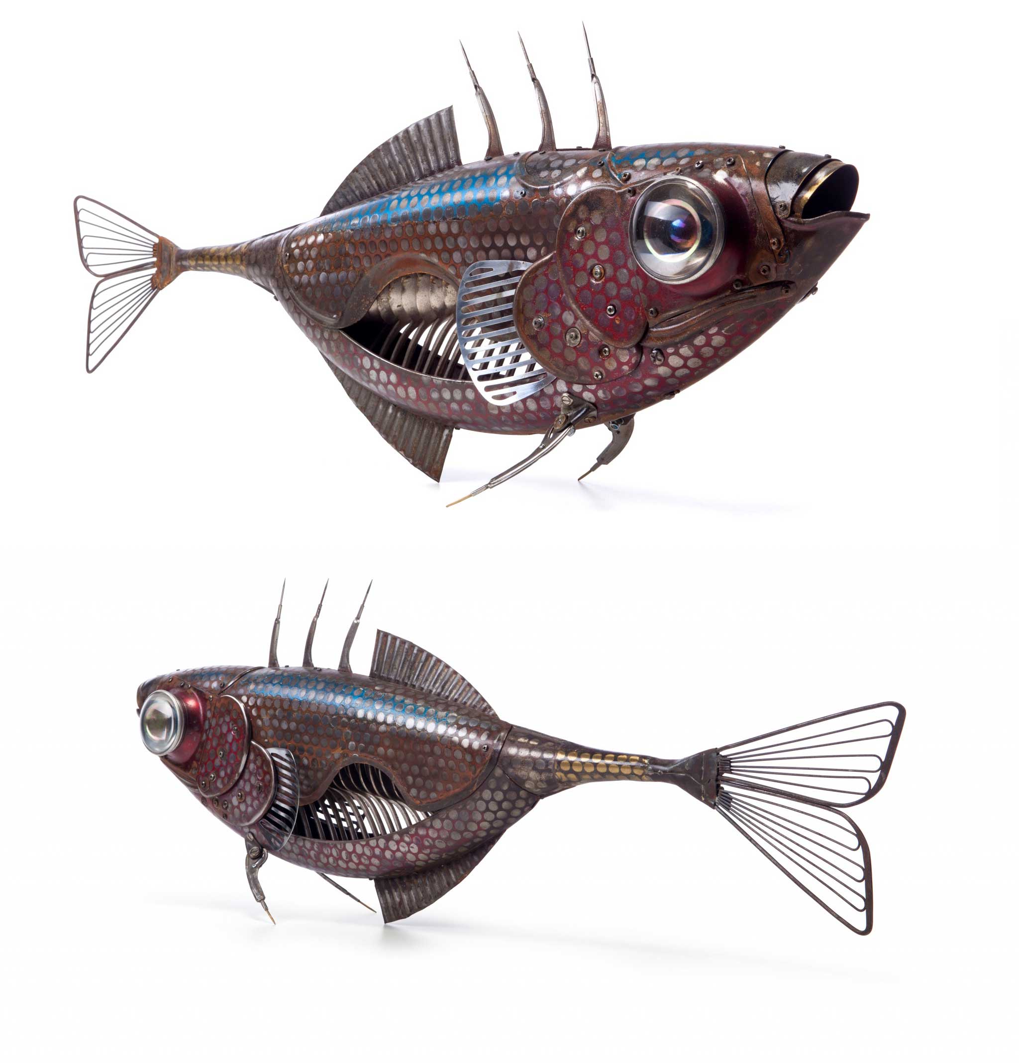 "Stickleback" 2013, Edouard Martinent. Body: moped fenders and chain guards. Bones: tablespoons. Gills: car door parts. Fins: cake tins, fish slices, compasses. Tail: motorbike silencer, fish slices. Eyes: flashlights. Head: Solex front fenders.