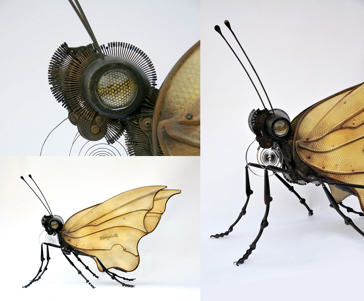"Butteryfly", . Legs: bike brake parts, pieces of windshield wipers, bike chains. Abdomen: old acetylene light tank. Thorax: car suspension part, small spoon parts, cream chargers. Head: headlights, bike parts. Butterfly trunk: clock springs. Hair: pieces of a typewriter daisy wheel. Antennae: brake cables, drawer knobs.