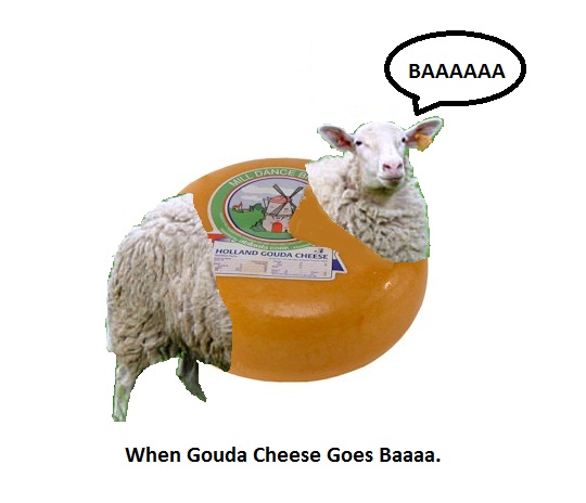 When Gouda Cheese goes Baaaa