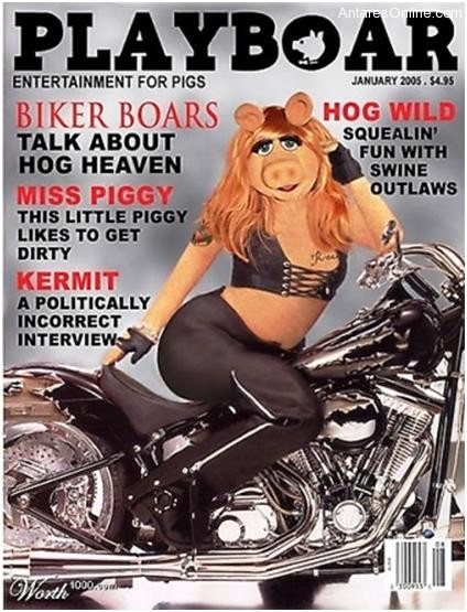 Fake Playboy Covers