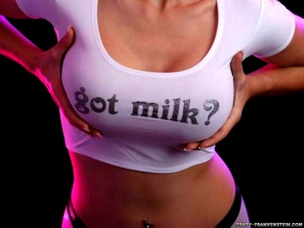 Funny T-shirt Pictures