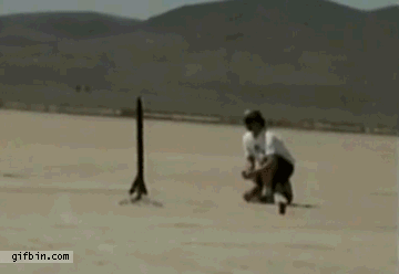 Funny Gif compilation.