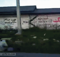 Funny Gif compilation.