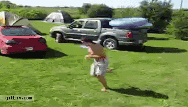 Funny Gif compilation.
