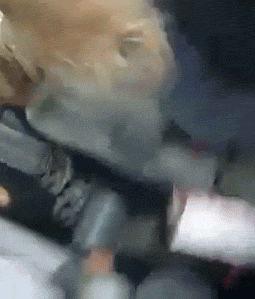 Pain and things that bounce GIFS