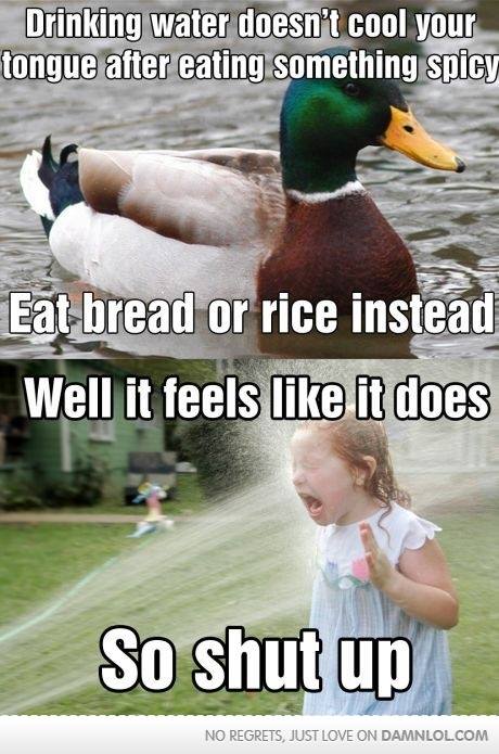 actual advice mallard meme - Drinking water doesn't cool your tongue after eating something spicy Et bread or rice instead Well it feels it does So shut up No Regrets, Just Love On Damnlol.Com