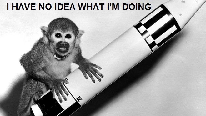 Iran is apparently sending a monkey to space. This ... is his story.