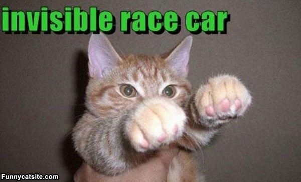 cute cats - of a pew pew pew cat - invisible race car Funnycatsite.com
