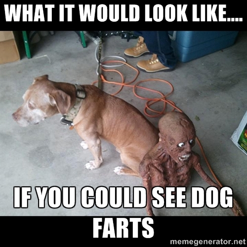 What it would look like, if you had dog fart vision