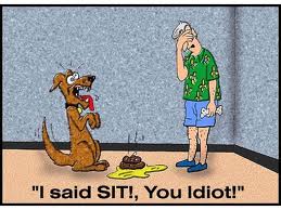 funny dog - "I said Sit!, You Idiot!"