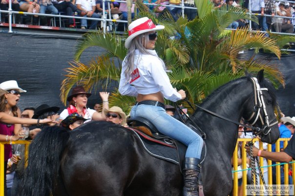 Costa Rican Models in horse parade