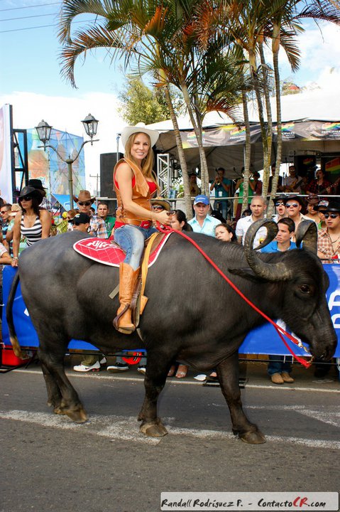 Costa Rican Models in horse parade PART 2