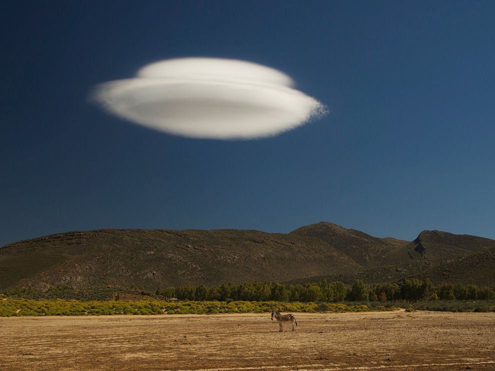 UFOCloud and a zebra?..rate this shit