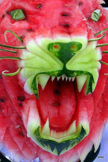 lion melon