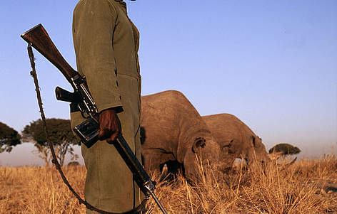 The Defender of the unspoken: 
A National African Warden stands guard protecting the few remaining Rhinos at the Zululand Rhino Reserve.