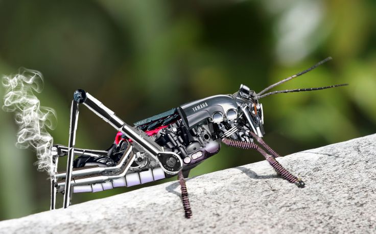 Motorized Crickets are now used in farms all around the UK. Fuel efficient mechanical models have now replaced the older organic ones in an effort to remain EPA compliant.
