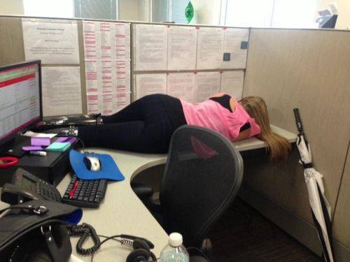 Dozing off at work is one thing but this is brave!
