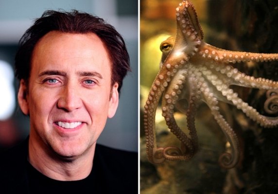 Nicolas Cage once bought a pet octopus because he thought it would help with his acting.