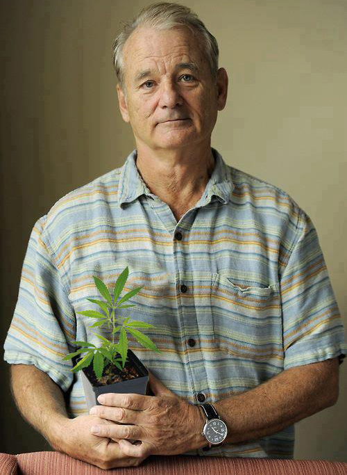 When Bill Murray was 20, he was arrested at Chicago O’Hare for trying to smuggle 10 pounds of marijuana onto a plane.