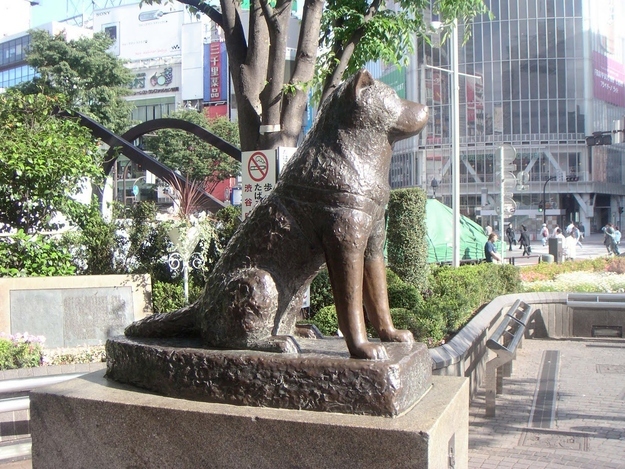 Fry’s dog Seymour is based off a real dog named Hachikō who waited for his master for 10 years.
