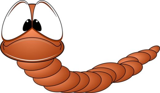 Earthworms have 5 hearts.