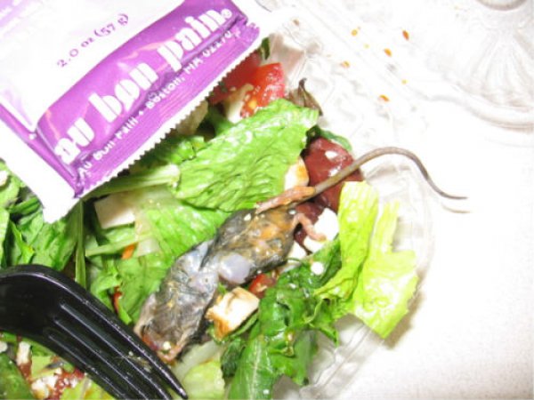 This person found a mouse in their Wendy's Low Calorie Salad.