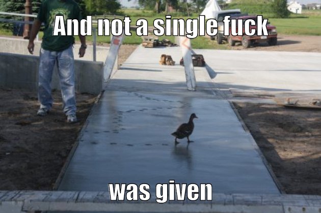 duck without a fuck